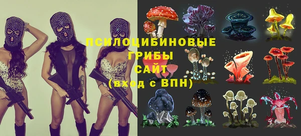 стафф Дмитров